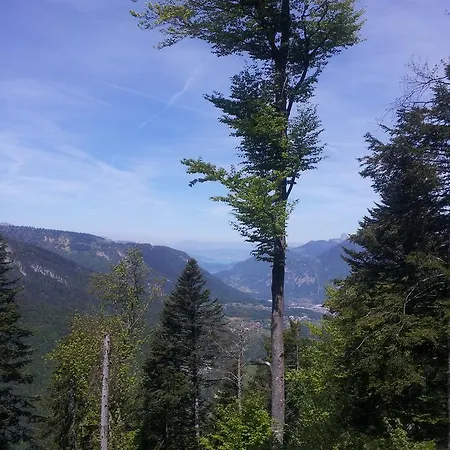 Le 1208 * Gilly-sur-Isère